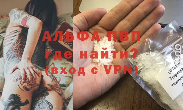 стафф Арсеньев