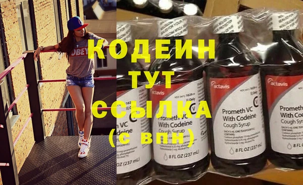 ПСИЛОЦИБИНОВЫЕ ГРИБЫ Бородино