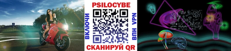 Псилоцибиновые грибы Psilocybine cubensis Буинск